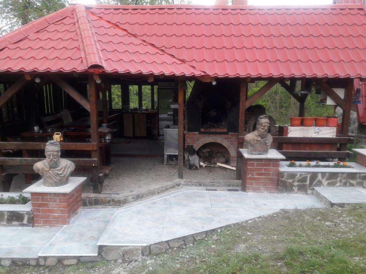 Casa Daos 호텔 Nucşoara 외부 사진