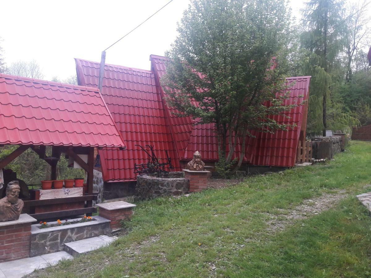 Casa Daos 호텔 Nucşoara 외부 사진